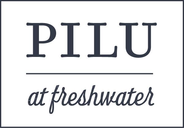 Pilu-logo-navy