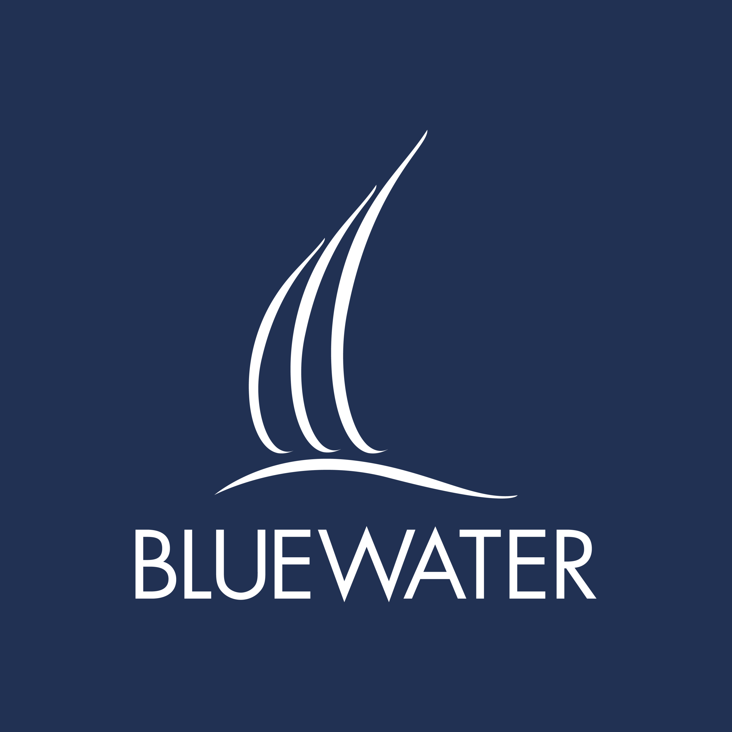 blue water logo