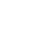 whalebridge logo