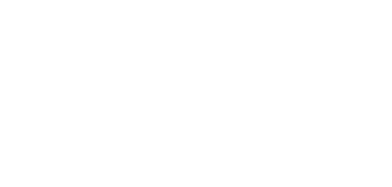 whalebridge logo